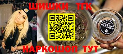 прущие грибы Кандалакша