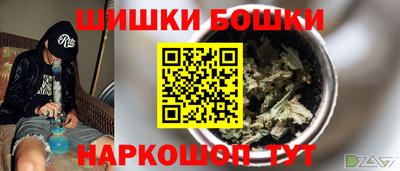прущие грибы Кандалакша